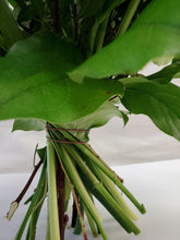 Load image into Gallery viewer, 3-week Floral Design Journey Workshop