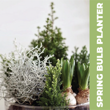 Load image into Gallery viewer, 3-week Floral Design Journey Workshop