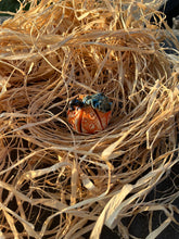 Load image into Gallery viewer, Pottery: Seasonal Pottery Workshops