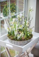 Load image into Gallery viewer, 3-week Floral Design Journey Workshop