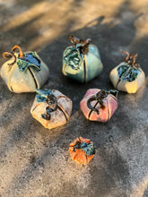 Load image into Gallery viewer, Pottery: Seasonal Pottery Workshops