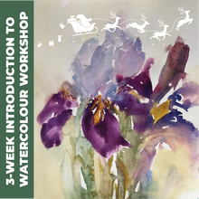 Load image into Gallery viewer, 3-week Introduction to Watercolour Workshop